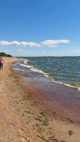 Ольга в LOOKY. #море,#пляж. [#финскийзалив](финс...