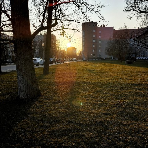 Vermitrall в LOOKY. #walking,#nature,#evening,#kolpino,#spb,#колпино,#вечер,#прогулка,#природа,#солнце,#солнечныйвечер,#tecnopova6,#shootontecnopova6. Вечерняя прогулка
.
...