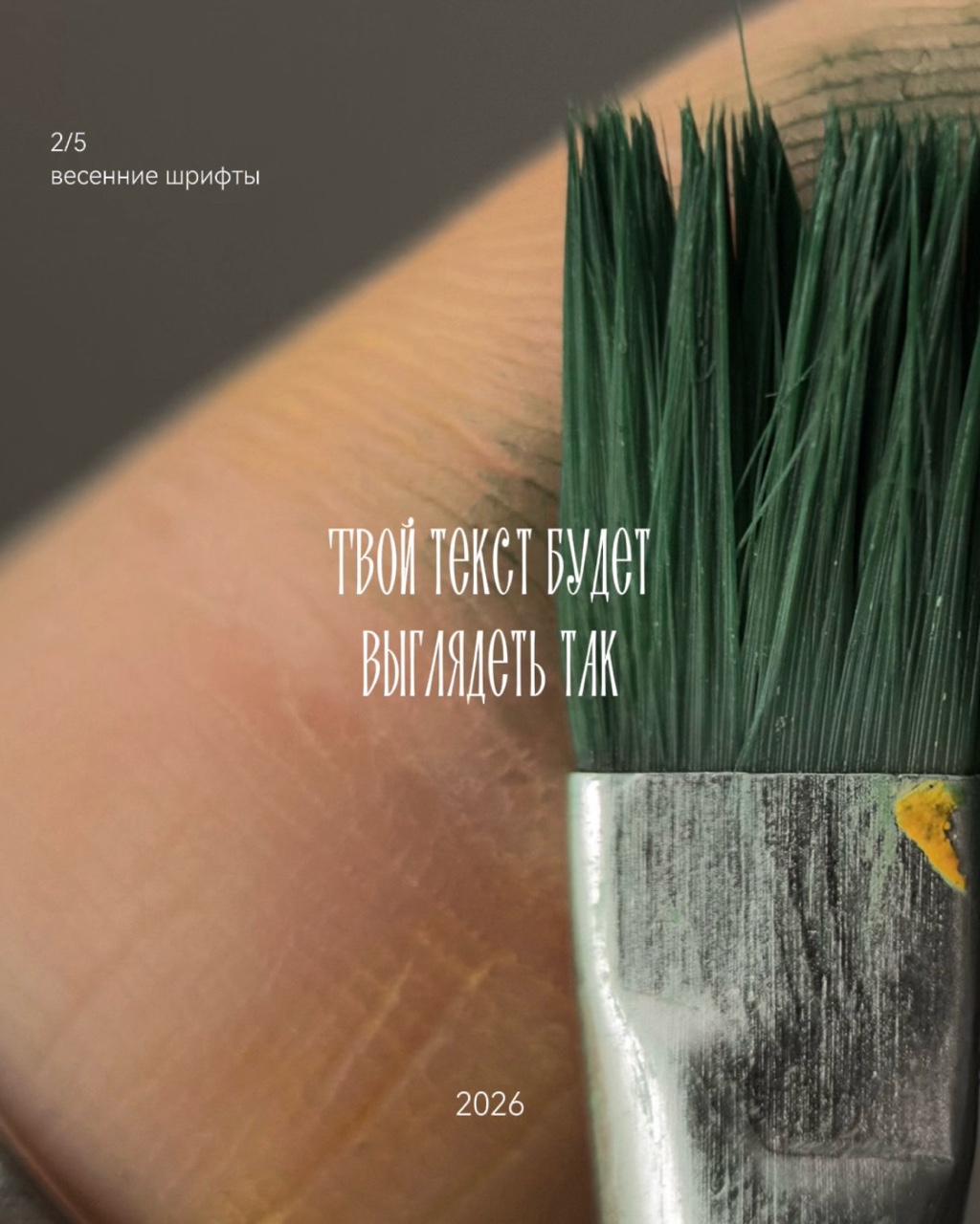 katarsis.prv в LOOKY — фото 3