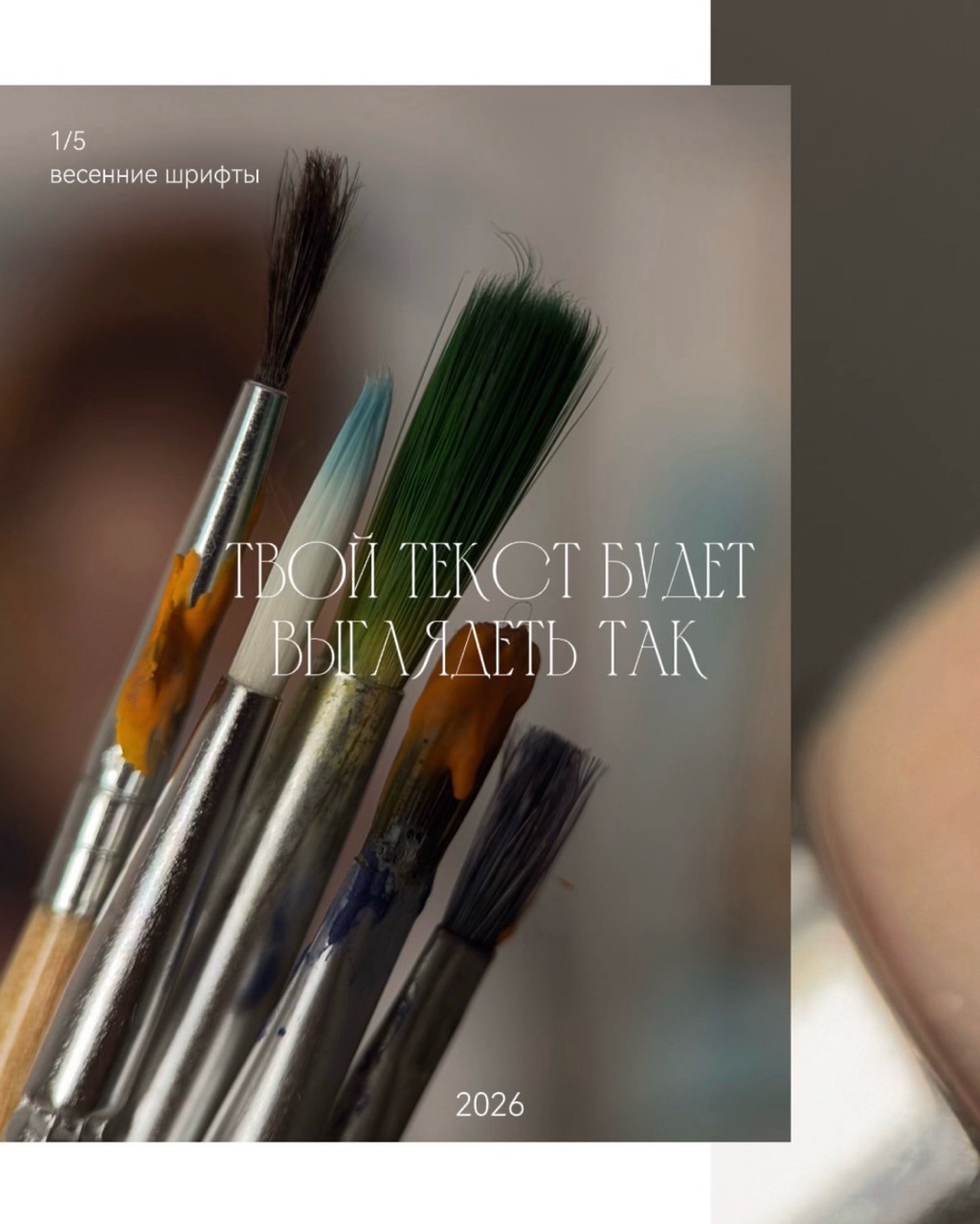 katarsis.prv в LOOKY — фото 2