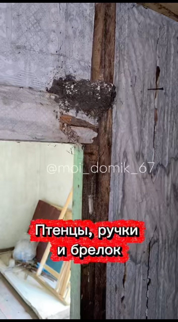 moi_domik_67 в LOOKY — Про птенцов, ручки на окнах и брелок от ключей. #дом #дача #
