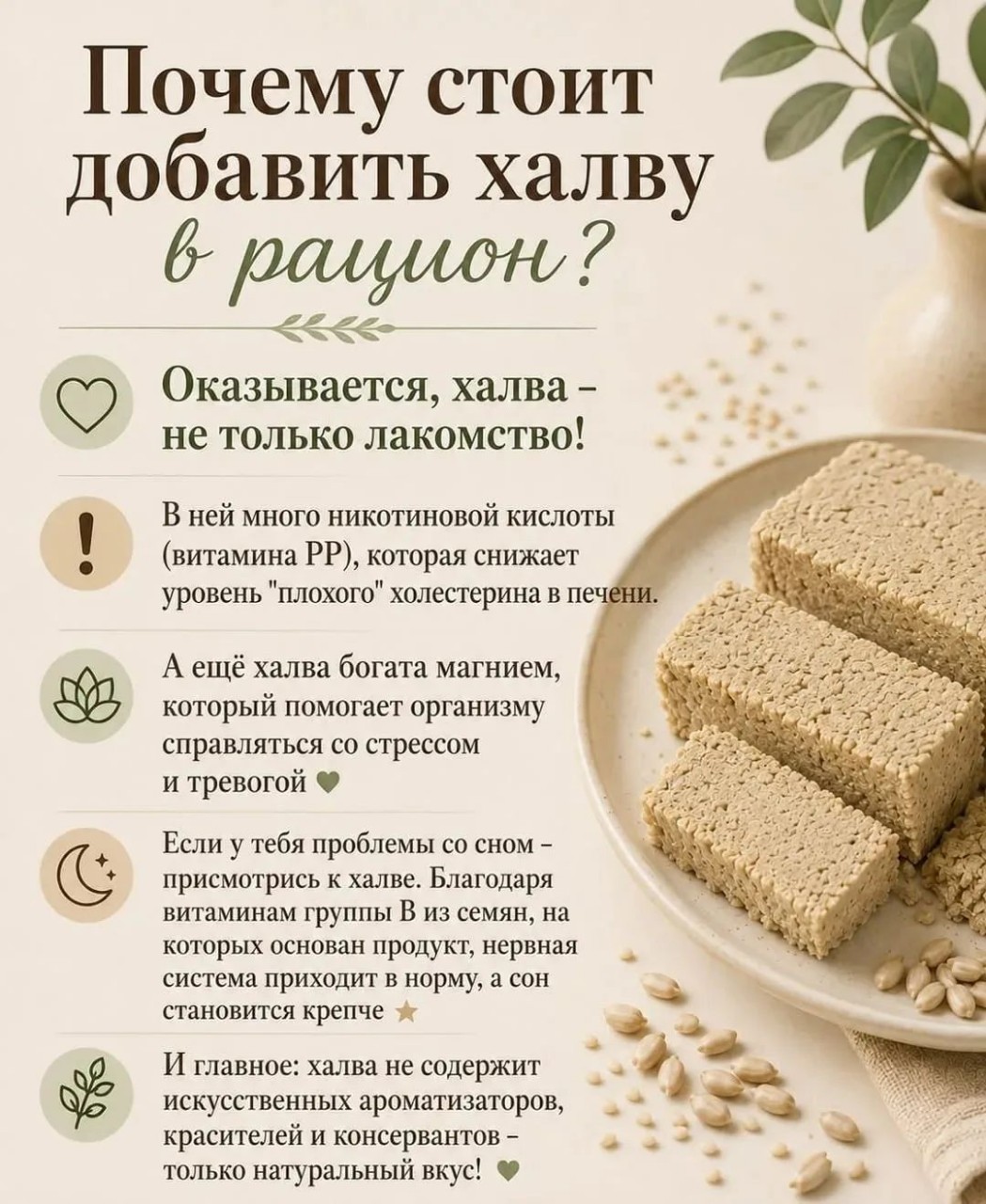 📍Халва — это не только любимое лакомство к чаю.

Многие удивляются, но этот продукт содержит полезные микроэлементы, витамины группы B, магний и другие вещества, которые помогают поддерживать организм, нервную систему и хорошее самочувствие.

В этой шпаргалке собрали интересные факты о халве, её свойствах и причинах, почему многие включают её в свой рацион.