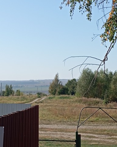 Looky_172630705492001 в LOOKY. . Всем доброе утро
