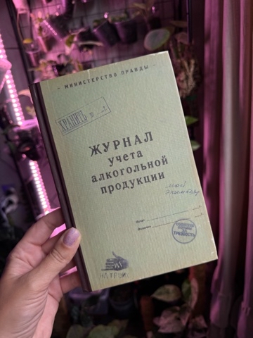 rastisha_msk в LOOKY. . Мой новый ежедневник...