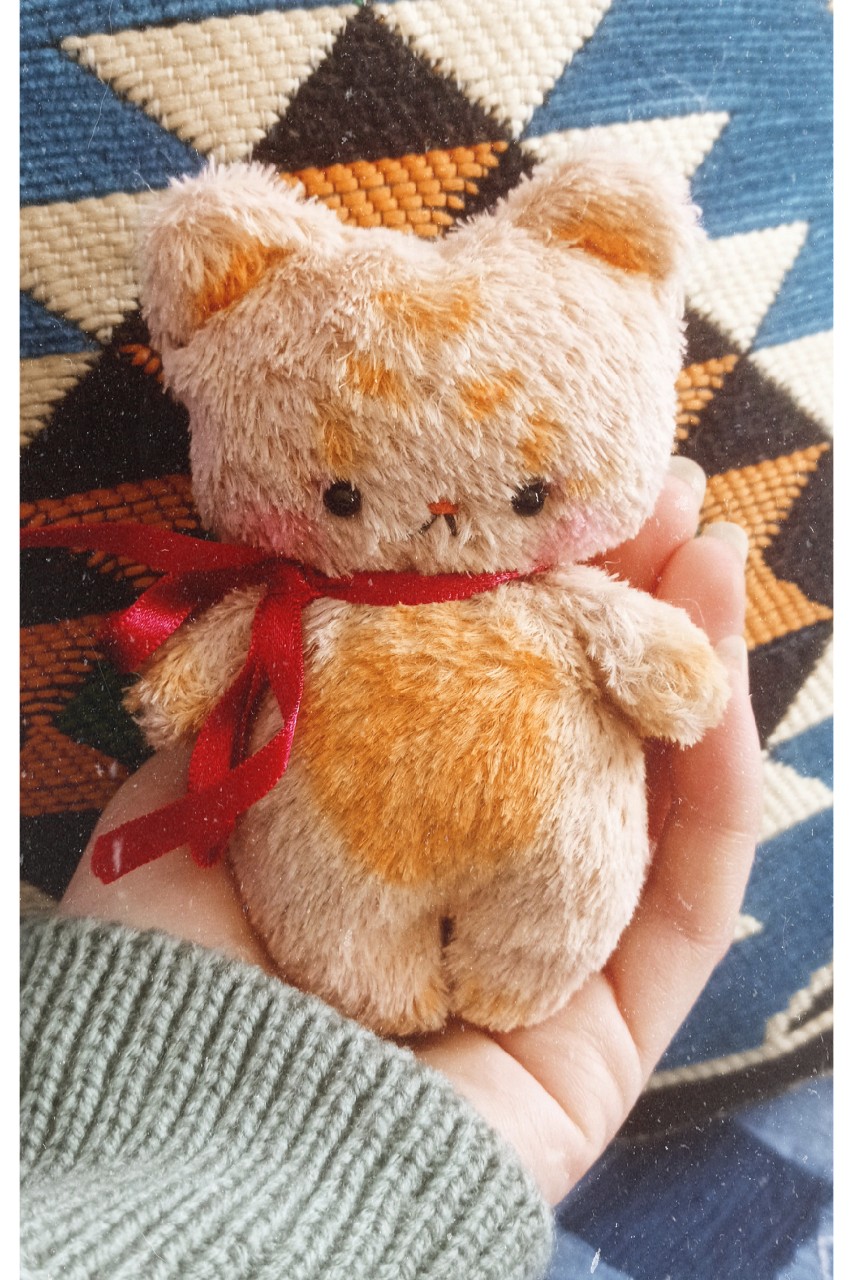  в LOOKY — 🌲🎁⭐⛄💕🌲🏂
❄#амигуруми#amigurumi#кот#куклакрючком#подарок#