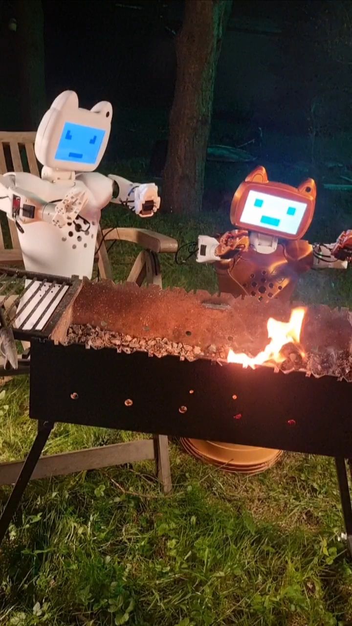 CRAZYBOTS в LOOKY. #робот,#роботы,#робототехника,#стартап,#robot,#robotics,#crazybots,#технологии,#ии,#ai,#chatty. Спор вегана с мясоед...