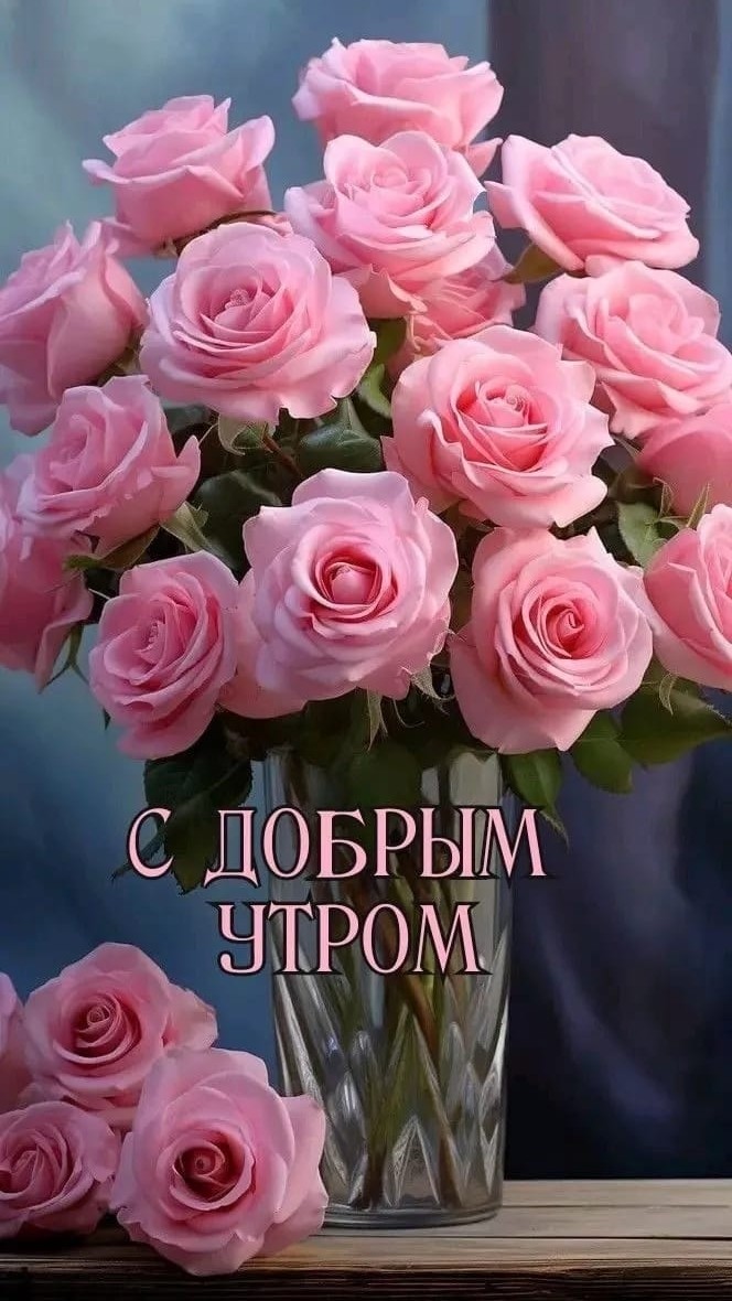 Looky_1720127976007 в LOOKY — публикация