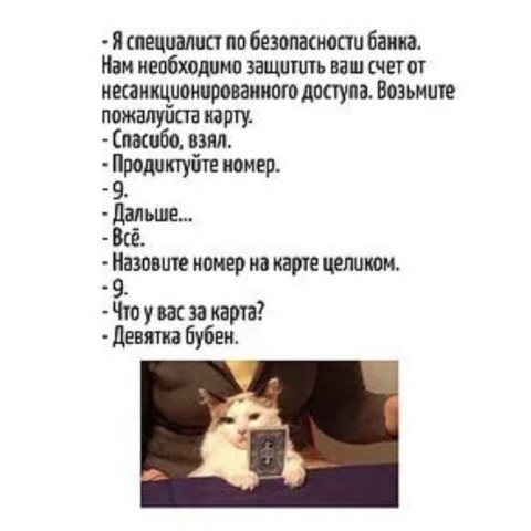 Будни Лоботряса в LOOKY. . 
