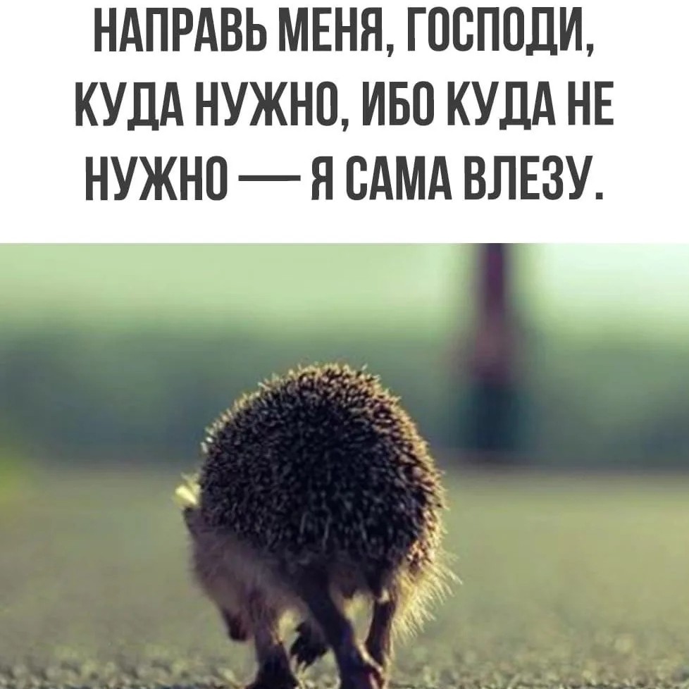 Мила в LOOKY — публикация