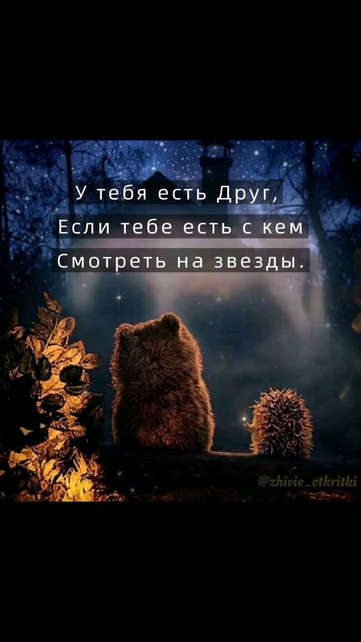 zhivie_otkritki_natali в LOOKY. #ценидрузей,#лучшийдруг,#длядрузей,#уютноевидео​,#ДеньДрузей. 🤗 9 июня — Междунар...