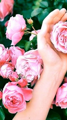 ВераНика в LOOKY. . Продолжение поста💙А...