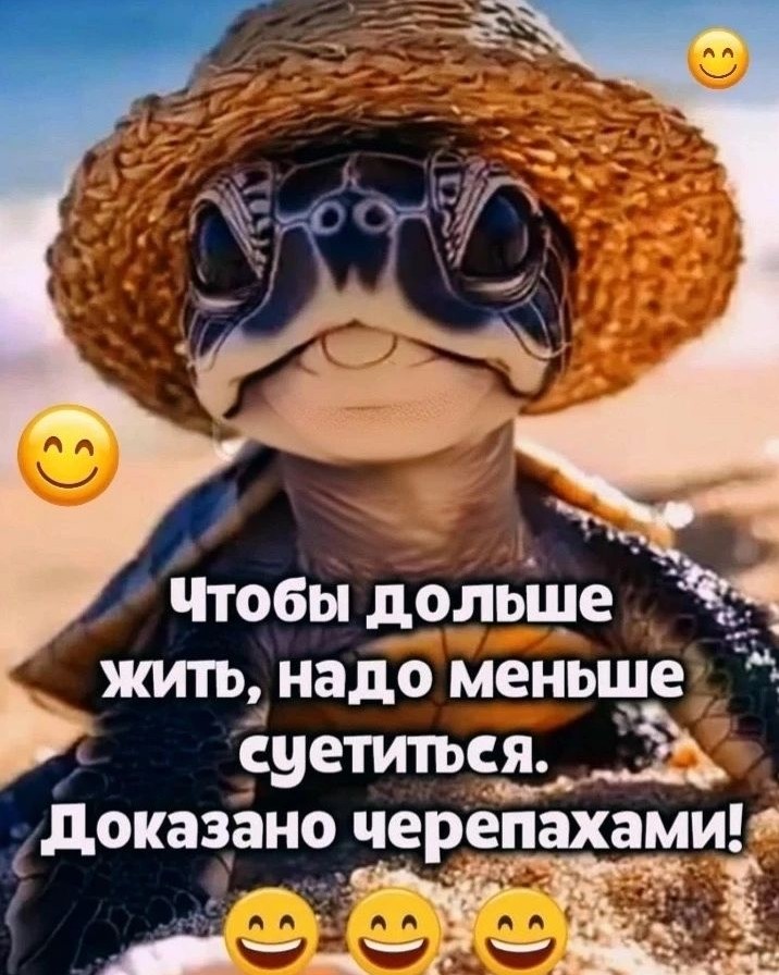  в LOOKY — публикация