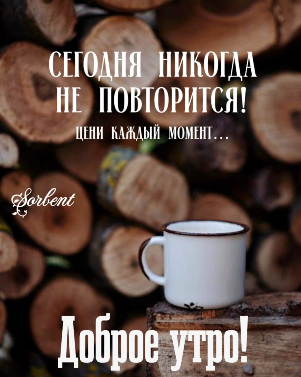 Looky_1675165962565 в LOOKY — публикация