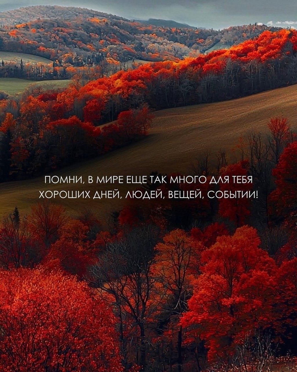 Welfare в LOOKY — публикация