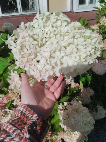 Anastasia_37 в LOOKY. . Я жду тебя, я верю ч...