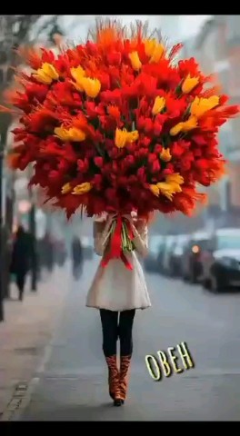 Looky_173357404561317 в LOOKY. . 