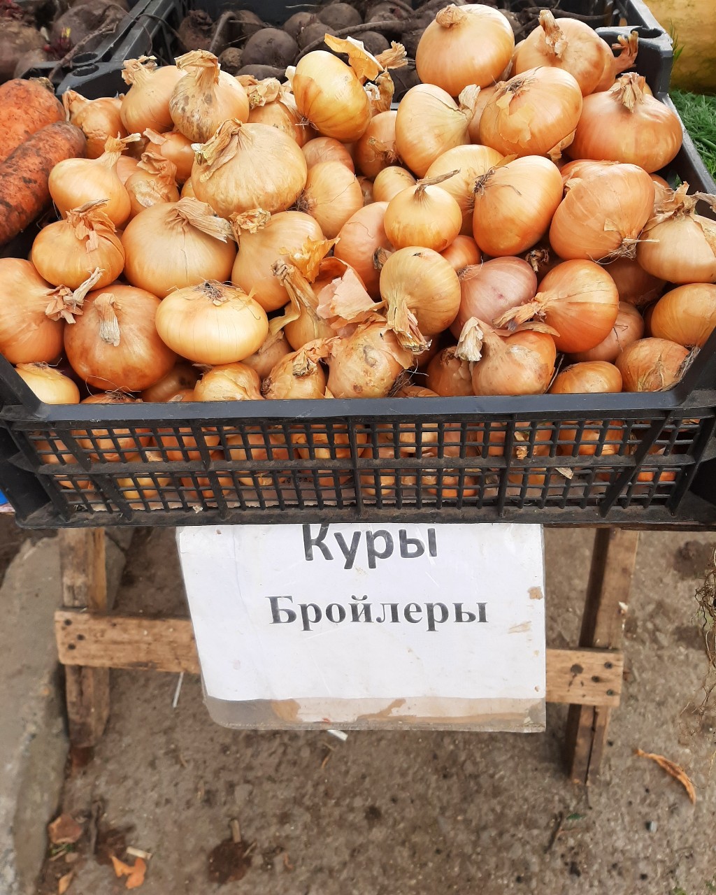 Элана Грекова in LOOKY. . Чудеса генной инжене...