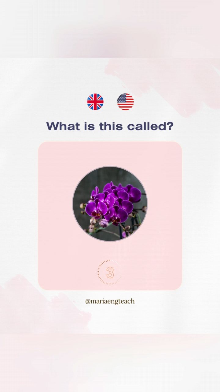Maria English Teacher в LOOKY. #английский,#английскийонлайн. Спорим, вы не знаете...