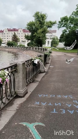 fati_echo в LOOKY. . Выборг