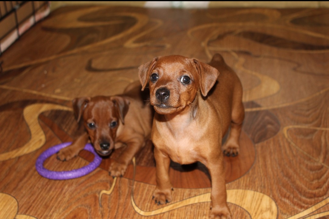 Элина Прилепкина в LOOKY — фото 2