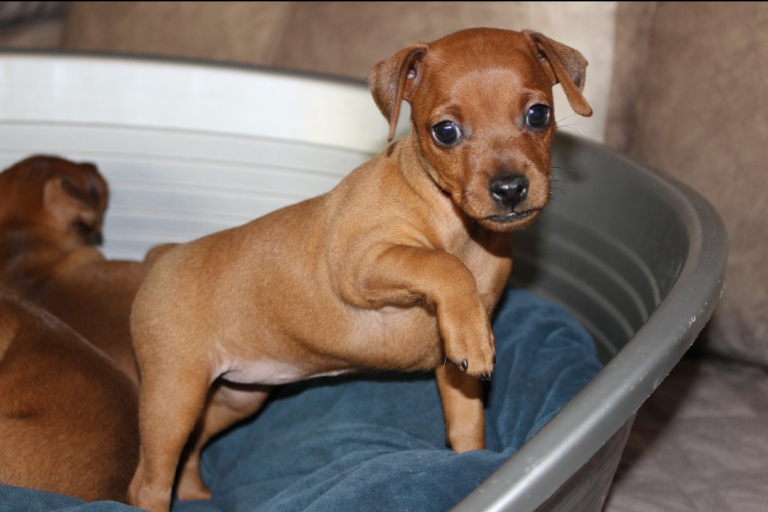 Элина Прилепкина в LOOKY — фото 4