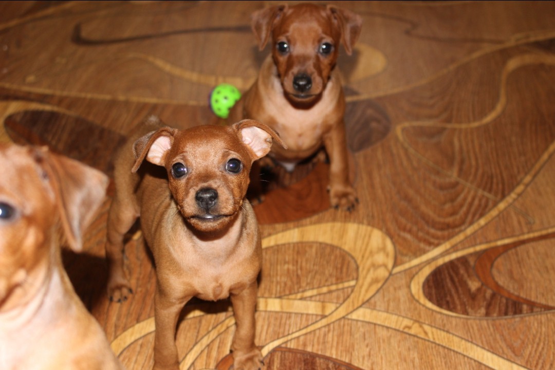 Элина Прилепкина в LOOKY — фото 3