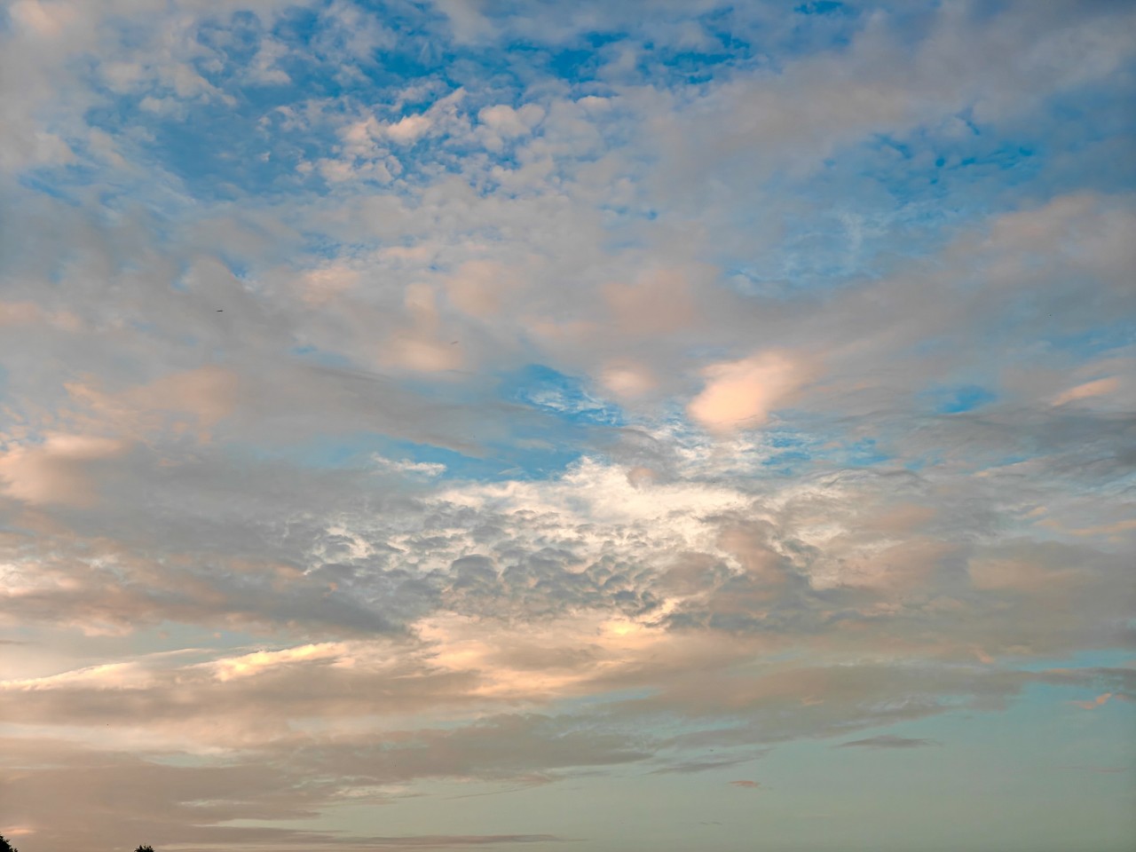 poboruev_landscape in LOOKY