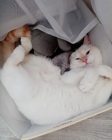 Юлия в LOOKY. . Майя в любимой короб...