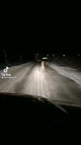 МЁРТВЫЙ АНАРХИСТ in LOOKY. . Мы с ЛП на каждой пе...