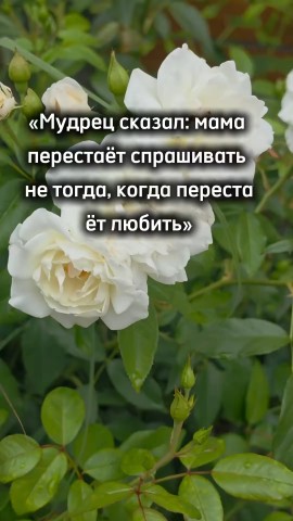 Tatiana Ubushaeva в LOOKY — публикация