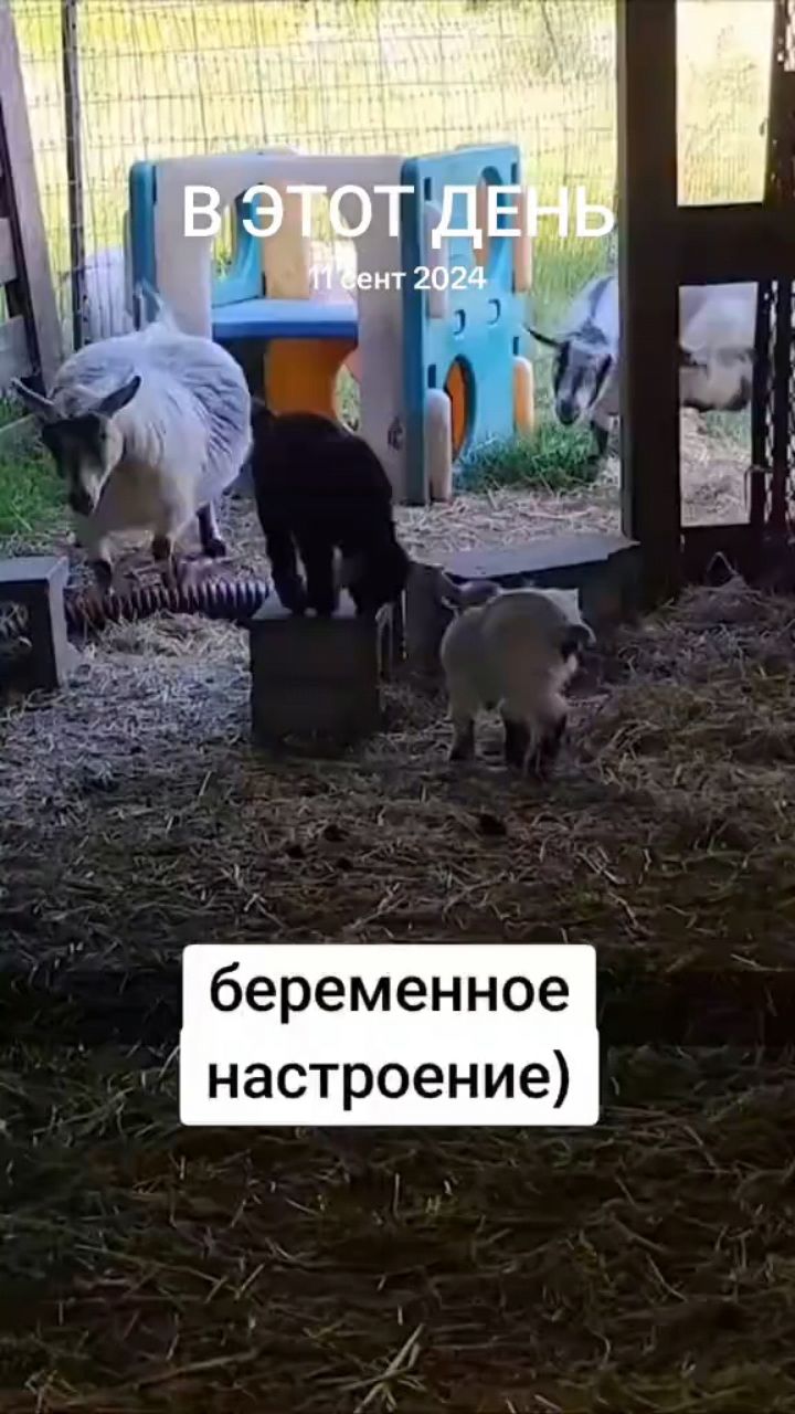 Ирина блонд в LOOKY — публикация
