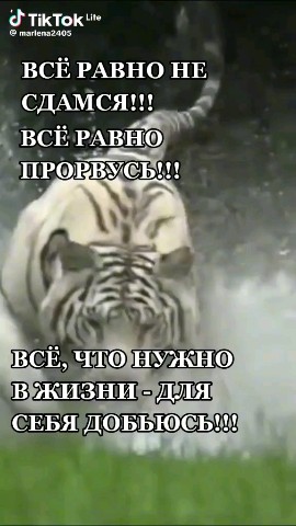 Looky_178768094193027 в LOOKY. . 