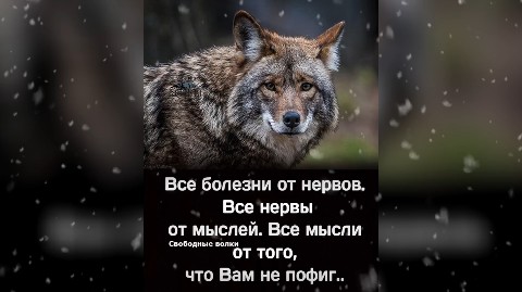 Looky_1695643157649 в LOOKY. . 