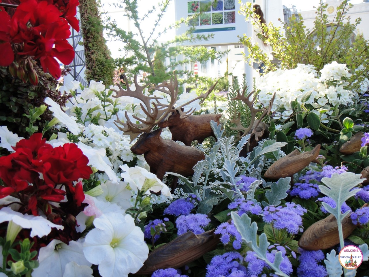 Welcome Moscow walks в LOOKY — фото 2