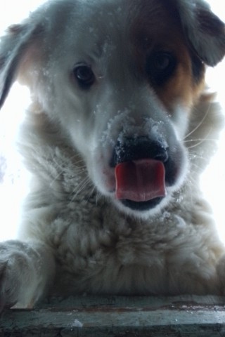 Looky_1721021213975 в LOOKY. . 