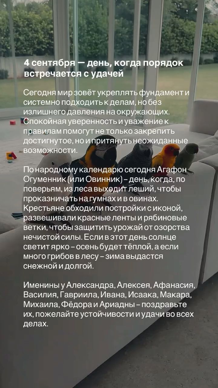 valkarat в LOOKY — публикация