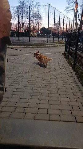 Юлия Марышева in LOOKY. #Платоновский. #Платоновский парк#п...