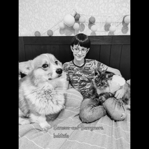 samson_and_barrymore.bobtails в LOOKY. #happybday,#детииживотные,#сднемрождения,#11yearsold,#sweetkitty,#большойкот,#курильскийбобтейл,#kurilianbobtail,#любовьспасетмир,#собакадругчеловека,#dogoftheday,#dogcute,#welshcorgi,#corgiofinstagram,#мокрыйнос,#sweetcatclub,#усылапыхвост,#безкотаижизньнета,#sweetkitty,#catlovers,#catphoto,#catpicture,#catphotography,#pets_of_instagram,#fluffycats,#мыизкотограма,#looky,#looky_топ,#looky_official. .
Не успел я отойти ...