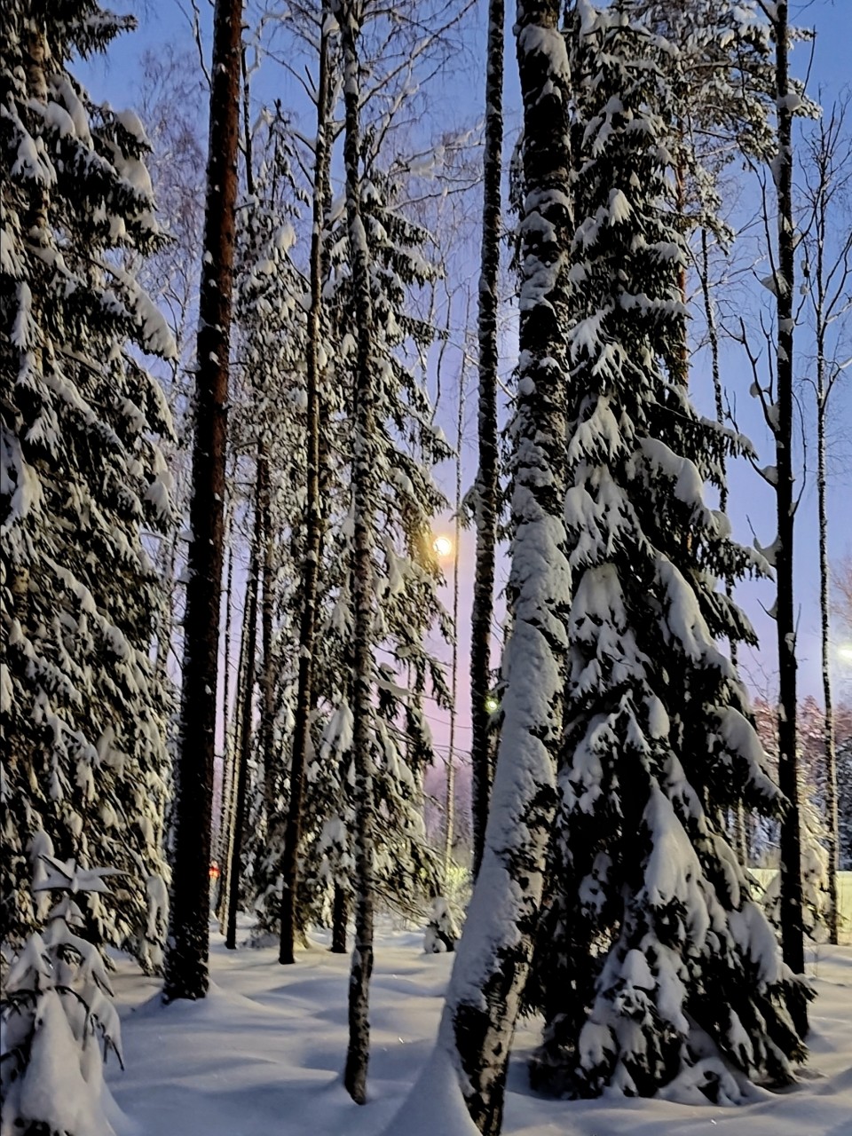 Виктор в LOOKY. #весна
#карелия,#karelia,#karjala,#живувкарелии,#природа,#природакарелии
#looky,#looky_official,#LOOKY_контент,#looky_you,#you,#looky_топ. А это моя сказка на ...