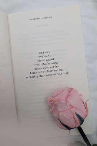 zarema rose l poet diary в LOOKY. #healingjourney,#brokenhearts. selflove❤️ #healingj...