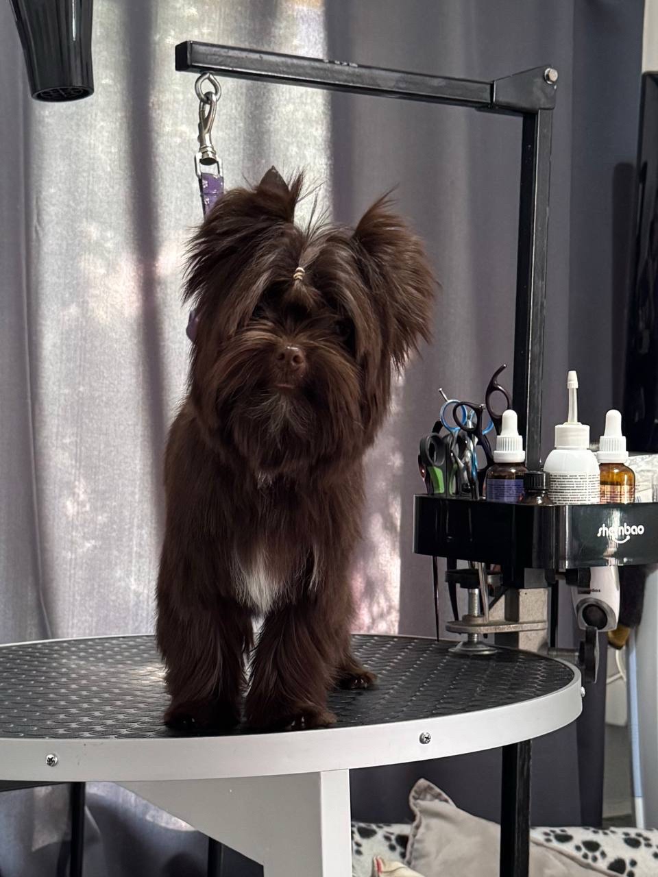 iuliiamolina в LOOKY — фото 4