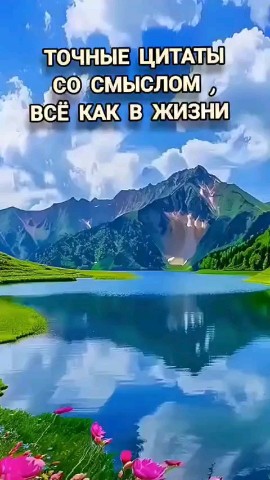 ВОЛК СЕРЫЙ в LOOKY — публикация