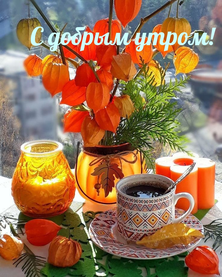 elena_tishina1967 в LOOKY — публикация