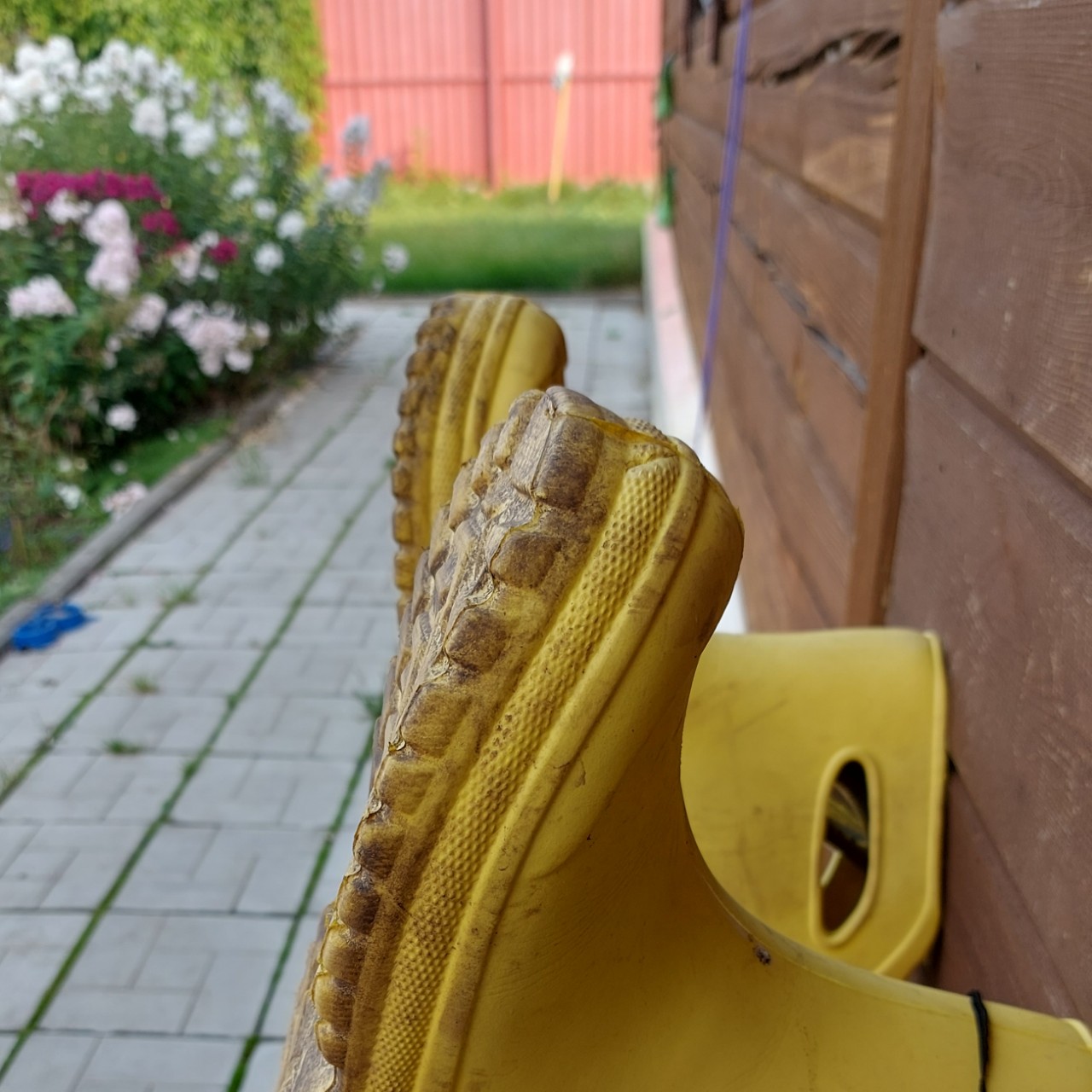 Вот и лето прошло.