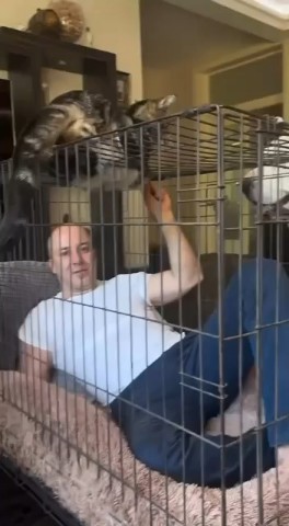 Василиск в LOOKY. . 😂 Житель Подмосковь...