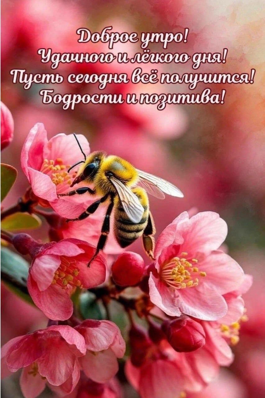 Каждый день неповторим!🌺