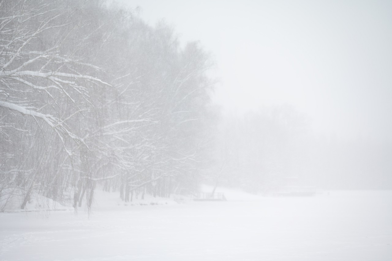 poboruev_landscape in LOOKY