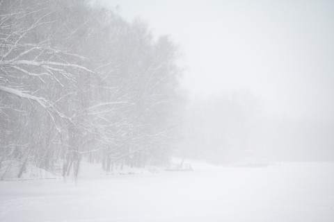 poboruev_landscape в LOOKY. #природа,#зима,#снег,#метель,#холодно,#декабрь. Ну кто там в декабре...