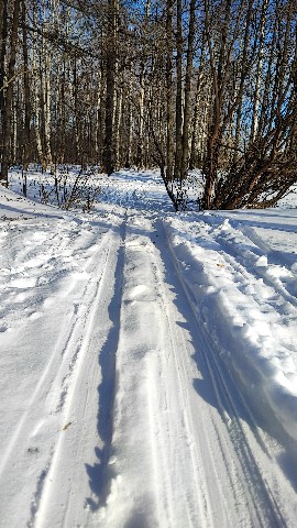 Храповицкий Сергей в LOOKY. #спорт. Лыжня в Удельном пар...