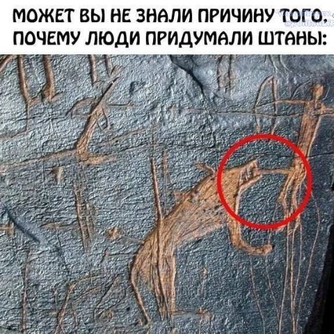 Evgeniy_Smexov в LOOKY. . 